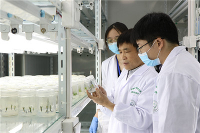 江苏省"最美科技工作者"丨张绍铃:一揽子问到底的中国"梨"首席