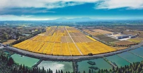 春天里,溧水播下“三农”种子