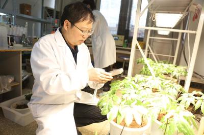 崔秀明研究员团队获农业农村部《2020-2021年度神农中华农业科技奖》科学研究类成果二等奖