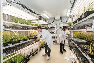 澳洲留学资讯|澳洲农业发展新契机--亚历山大,还是去澳洲经营农场吧!