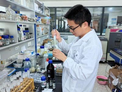 打捆回收综合利用,孝感秸秆禁烧变堵为疏