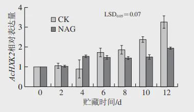食品科学 江西农业大学曾教科副教授等 猕猴桃果实后熟软化过程中己糖激酶基因的表达分析