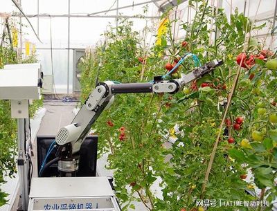 工程机器人国内外发展概况