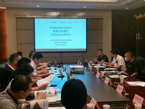 山东省农业科学院 科技动态 果穗玉米青贮,解决产业难题 畜牧兽医所组织召开现场观摩交流会