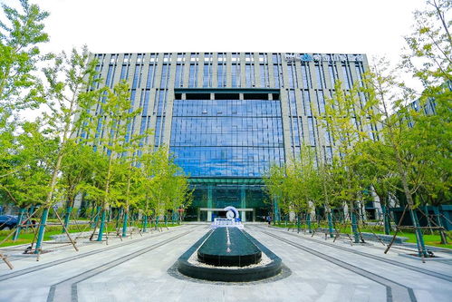未来网络发展大会五年磨一剑 科研协同城建两开花