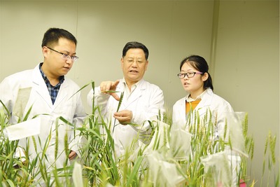 山东教育报