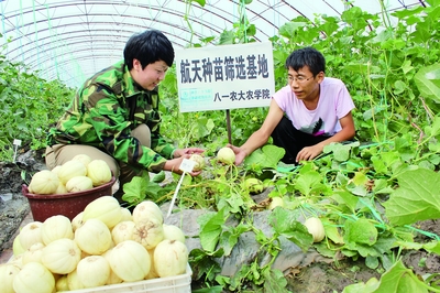 “十三五”开局之年经济社会发展平稳