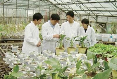 与国家缓控释肥工程技术研究中心副主任张民“云端对话”--发展缓控释肥是实现化肥减量增效的重要方向