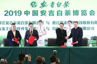 安吉白茶 共享绿色生活 2019安吉白茶博览会盛大启幕