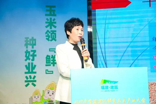产值近900亿元 鲜食玉米不断向纵深发展