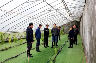 【场站中心】国家柿圃改扩建项目评审会召开
