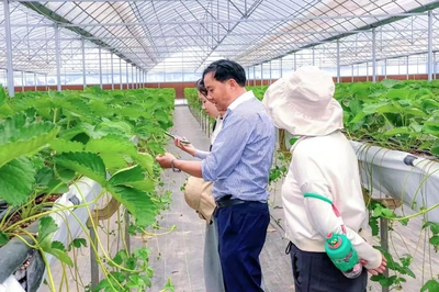 南京市溧水区:凝聚非公企业智慧 吹响“种子翻身仗”号角民企种业强“芯” 赋能乡村振兴