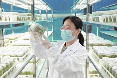 逐绿奋进生态美 水清林茂粮更丰--周宁县践行"三库+碳库"理念推进绿色发展