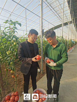 立足菜乡 花开全国,“寿光模式”在全国26省市落地开花