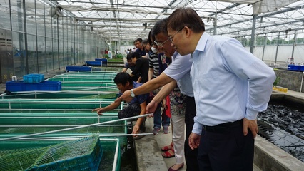 市政协农业和农村委员会参观我院庄行试验站