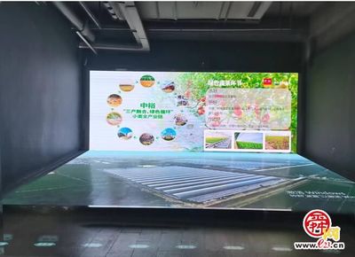 沿着黄河遇见海|拉长产业链、绿色循环发展…看滨州中裕如何做好“麦田里的守望者”