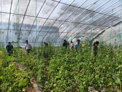 市现代农业示范区与山东省黄河三角洲可持续发展研究院联合举办“政府开放月,探索盐碱地综合利用的奥秘”活动