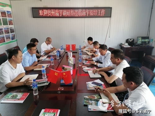 贵州魔芋产业首席专家丁海兵率队调研魔芋产业助推高质量发展