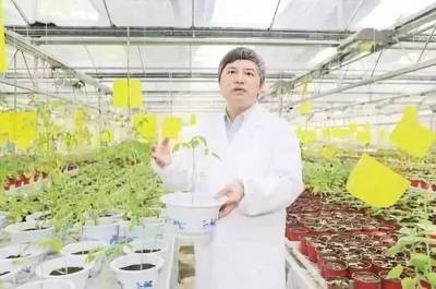 院士谈农药:科学、安全、合理使用农药,保证粮食安全