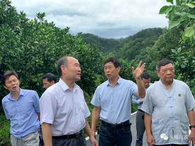 问诊把脉,精准指导,把培育课堂搬到生产果园--江西农业大学“头雁”项目导师刘勇再到上饶学员基地调研指导