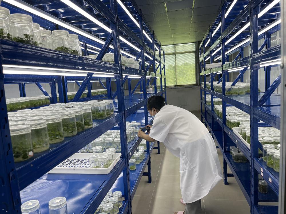 携手推动“双百行动”提质增效!广东食品药品职业学院到惠来县开展调研