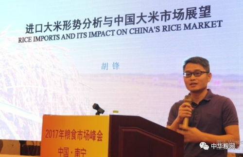 2017年粮食市场 南宁 峰会召开