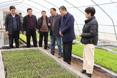 西北农林科技大学园艺学院