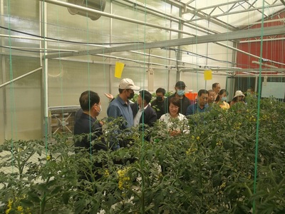 生物工程学院建成“喻景权院士轻简化无土栽培技术示范基地”并参加全市戈壁农业观摩活动