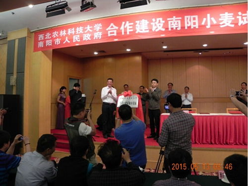 河南农业科学院网 西北农林科技大学与南阳市人民政府举行合作建设南阳小麦试验示范站签约暨揭牌仪式