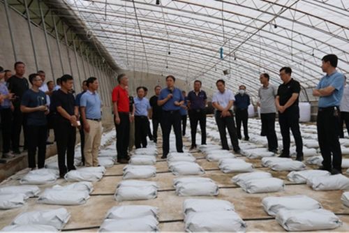 陕西省设施蔬菜科技创新与试验示范观摩研讨会举办