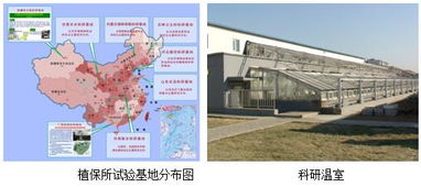 中国农业科学院植物保护研究所改革开放40年回顾