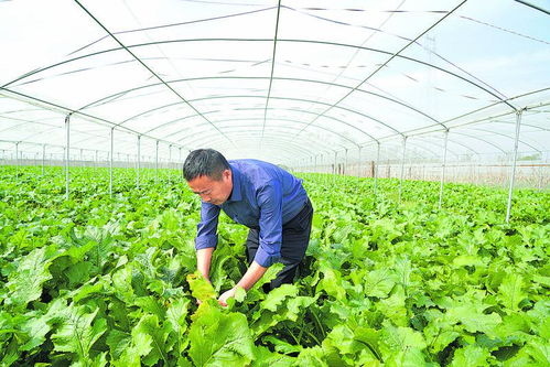 山东烟区大力提升烟基设施设备综合利用率