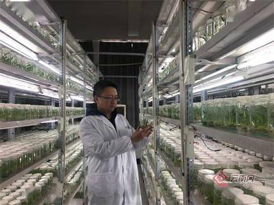 昆明市加速建设区域性国际科技创新中心