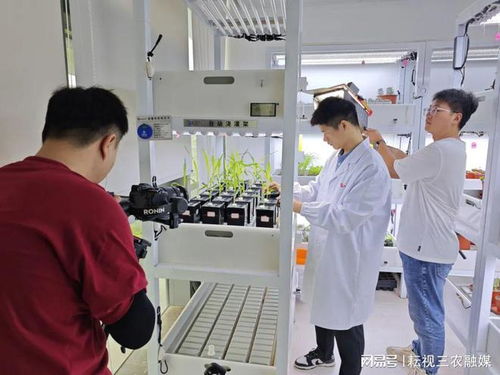 安琪福邦大型宣传片 酵母科技,农业无限未来 正式杀青