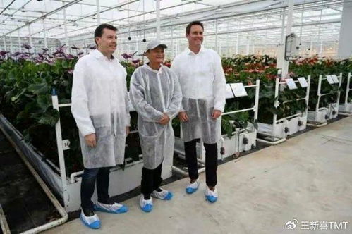 马云投资1000万成立马家厨房,预制菜行业会变得更好吗