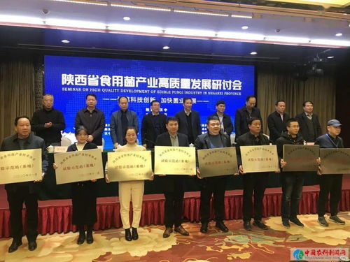 陕西省食用菌产业高质量发展研讨会在汉中举行