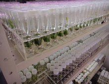 农业部果树种质资源利用重点开放实验室