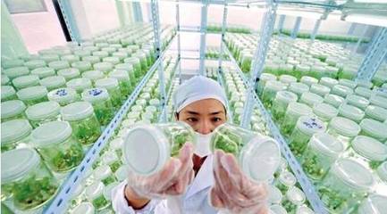 火速收藏!2018年31个农业项目补贴申报指南出炉!(附申报时间、口径、范围)