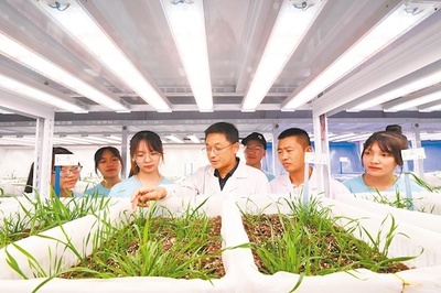 华农大学生助农助产襄阳行