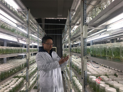 昆明市加速建设区域性国际科技创新中心