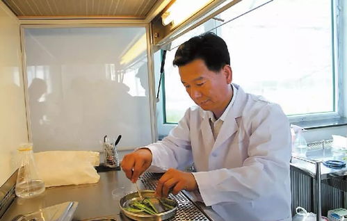 2018年度感动吉林16号候选人 任长忠,盐碱地里的 燕麦专家 ,培育15个燕麦新品种,创奇迹