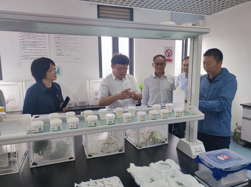 云南省农业科学院官方网站 云南省农科院