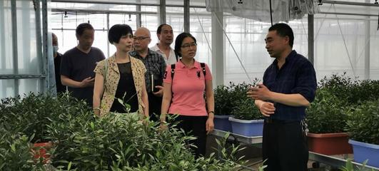 重庆铜梁区老科协:建立果蔬科研实验基地助力果苗产业高质量发展
