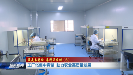 工厂化集中育苗 助力农业高质量发展