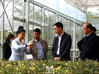 市委常委梁杰钊莅临市农科中心参观指导