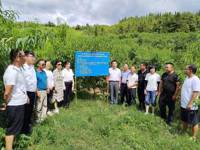 中国农业科学院区划所研究员、国家绿肥产业技术体系首席科学家曹卫东一行到施秉县开展绿肥产业发展调研
