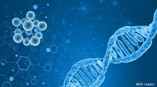 新型营养不良在中老年群体蔓延 科学家 核苷酸或可帮大忙