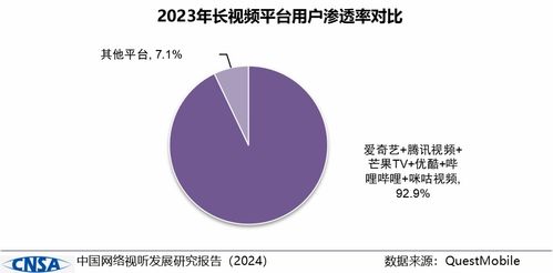 中国网络视听发展研究报告 2024 在蓉发布