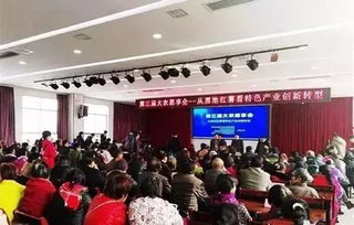 权威专家分享 红薯生产种植中,这些事项必须注意
