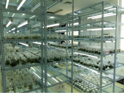 食品与生物学院简介